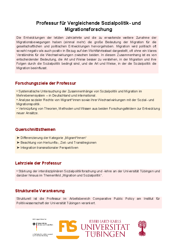 Onepager zum Inhalt der Stiftungsprofessur